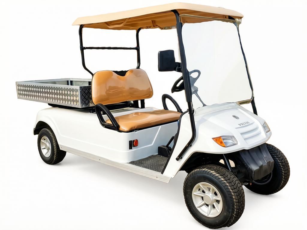 Гольфкар VOLTUS GFC2 Фото 1 Гольфкар VOLTUS GFC2 Обзор-Фото 1