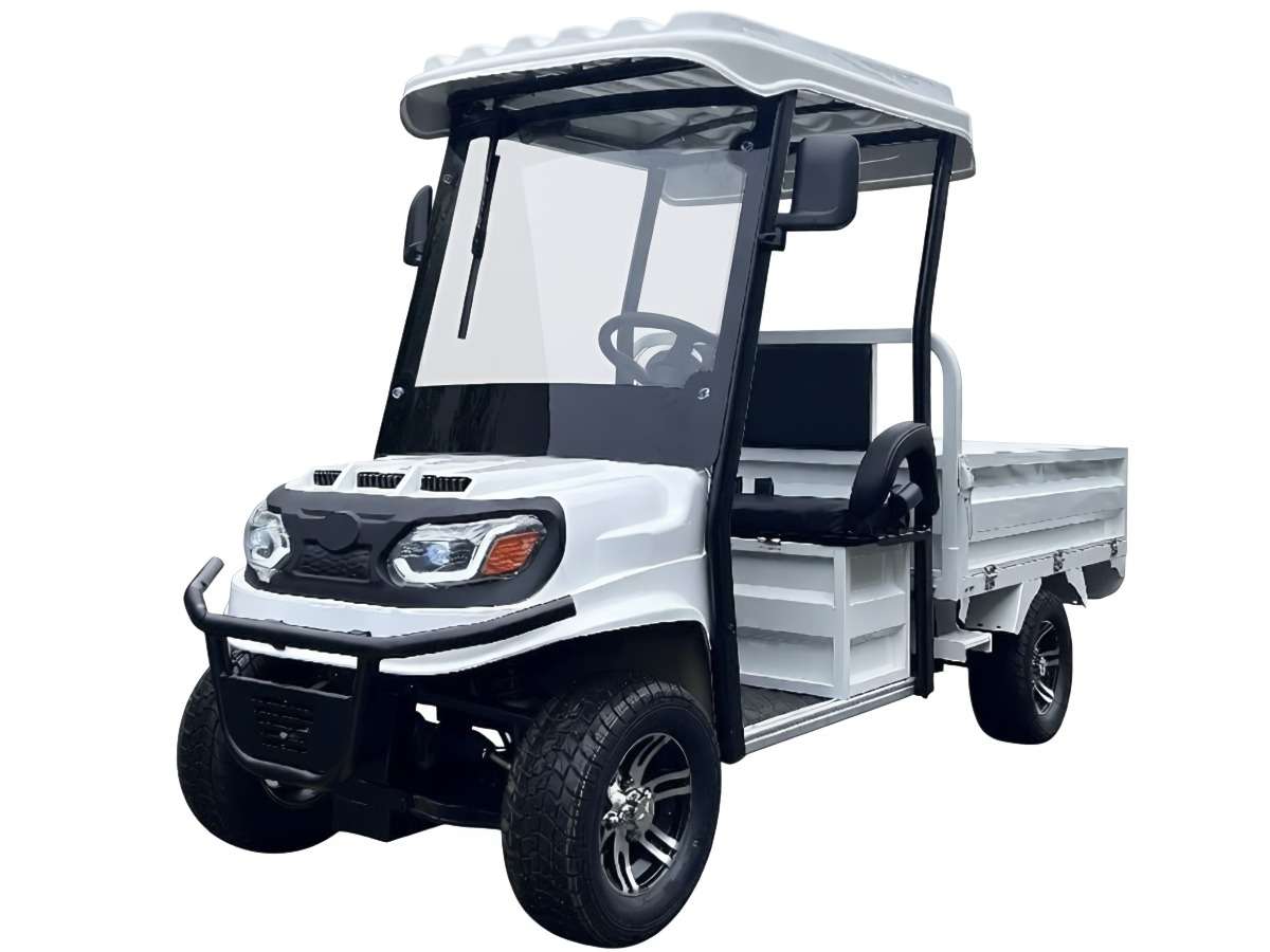 Гольфкар GREENCAMEL Сонора A2C 1500 (2+Cargo 1800W R10) Фото 1 Гольфкар GREENCAMEL Сонора A2C 1500 (2+Cargo 1800W R10) Обзор-Фото 1